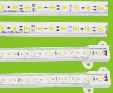 永乐充值平台登录