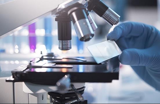 永乐充值平台登录